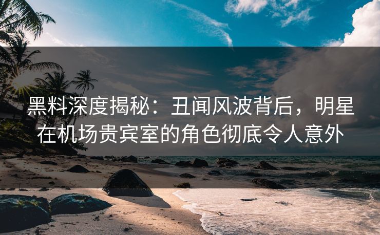 黑料深度揭秘：丑闻风波背后，明星在机场贵宾室的角色彻底令人意外