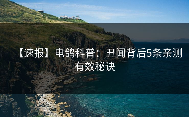 【速报】电鸽科普：丑闻背后5条亲测有效秘诀
