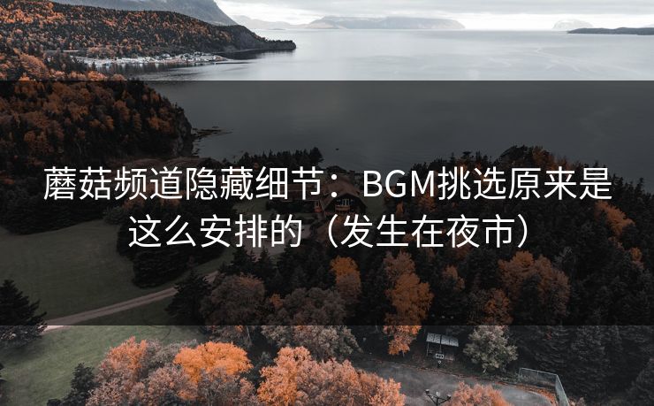 蘑菇频道隐藏细节:BGM挑选原来是这么安排的(发生在夜市) 蘑菇频道隐藏细节:BGM挑选原来是这么安排的(发生在夜市)